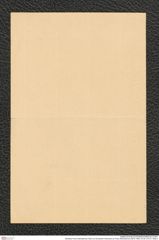 Nachlass Franz Steindachner, Brief von Konstantin Henochen an Franz Steindachner (08.03.1902), Inv.Nr. 214.01, Seite 4